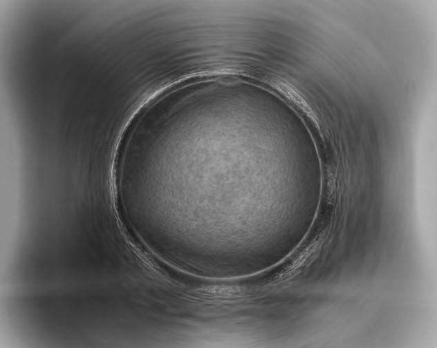 X0000096440789200802141451