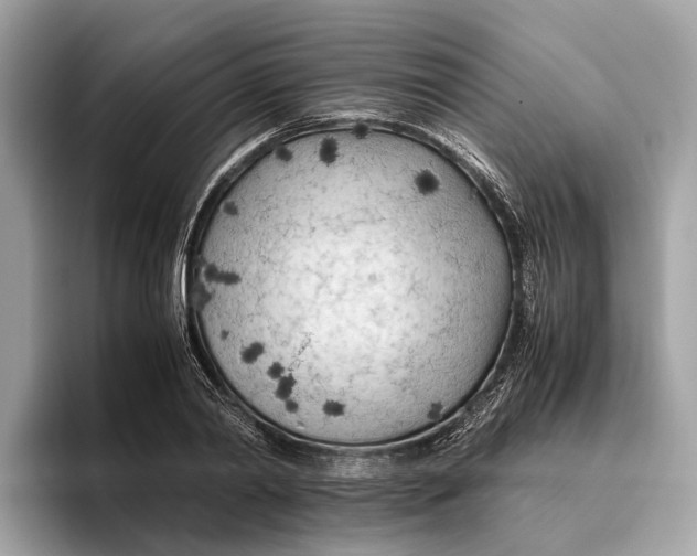 X0000096440790200802141451