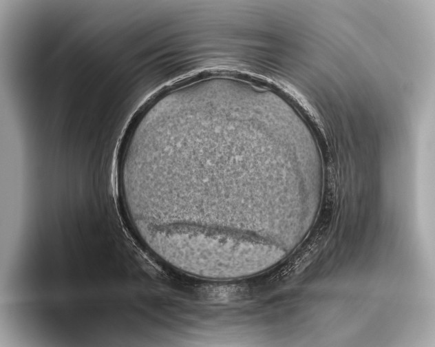 X0000096440791200802141451