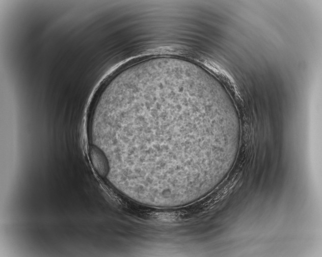 X0000096440792200802141451