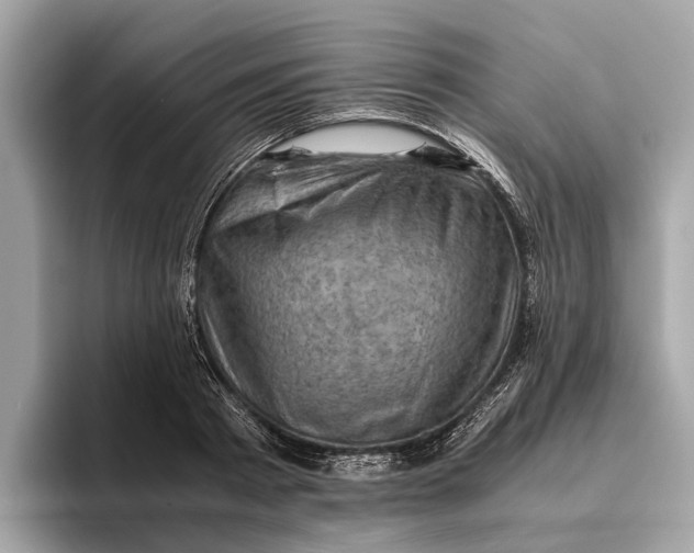 X0000096440793200802141451