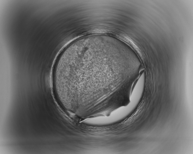 X0000096440795200802141451