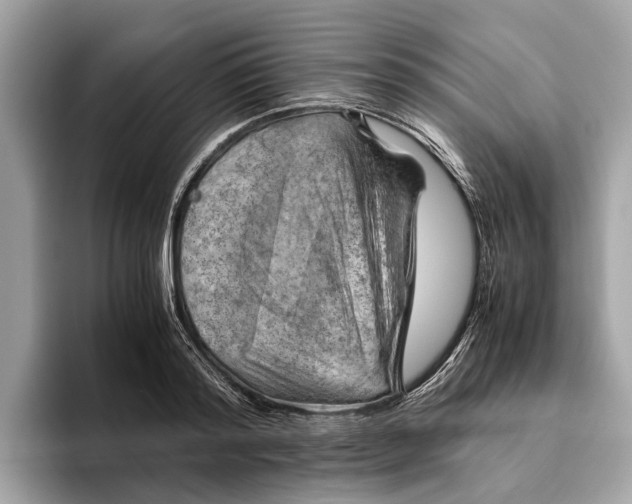 X0000096440796200802141451