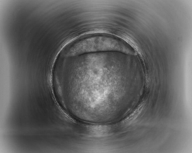 X0000096440797200802141451