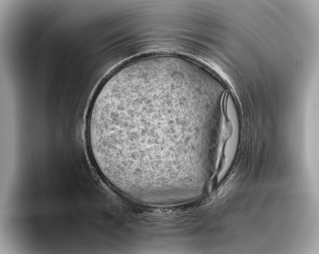 X0000096440799200802141451