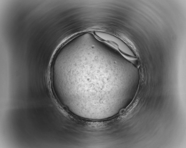 X0000096440800200802141451