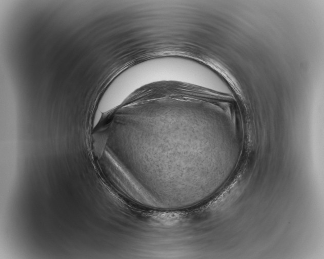 X0000096440801200802141451