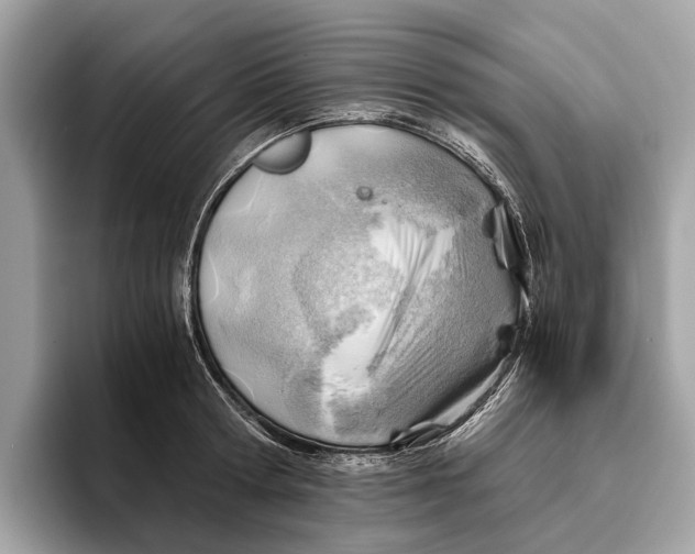 X0000096440802200802141451