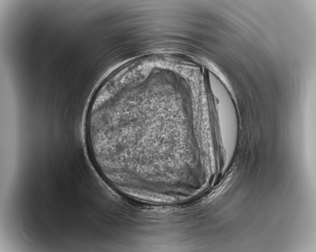 X0000096440803200802141451