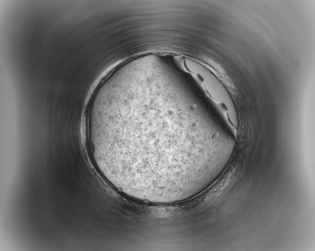 X0000096440804200802141451