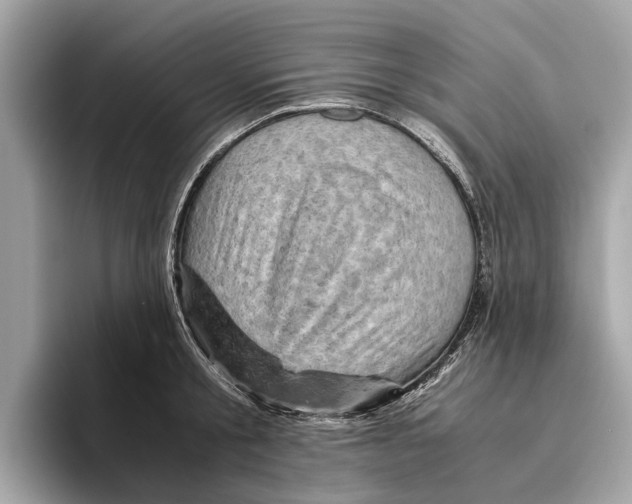 X0000096440805200802141450