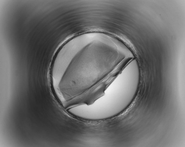 X0000096440806200802141450