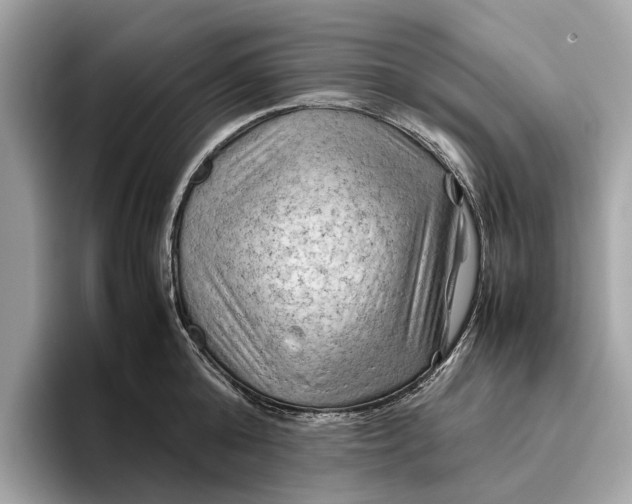 X0000096440808200802141450