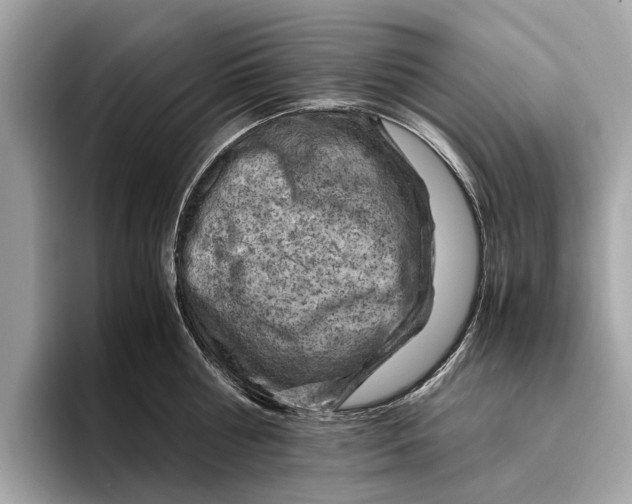 X0000096440810200802141450