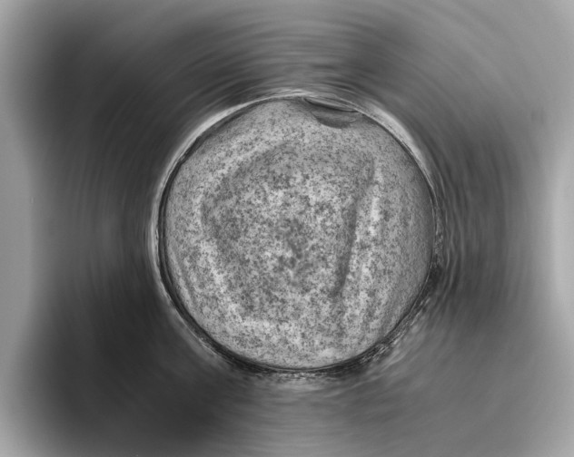 X0000096440811200802141450