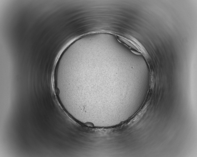 X0000096440812200802141450