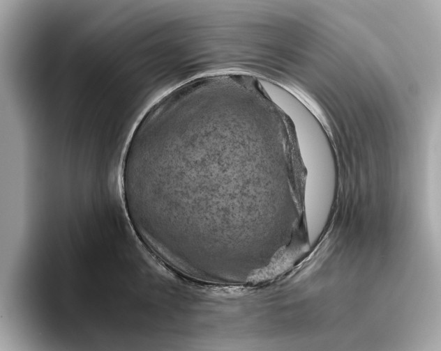 X0000096440813200802141450