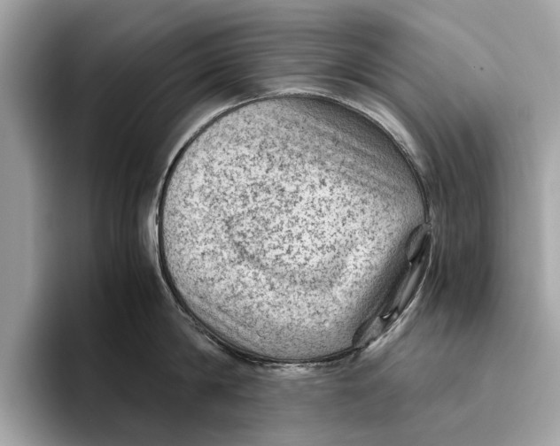 X0000096440814200802141450