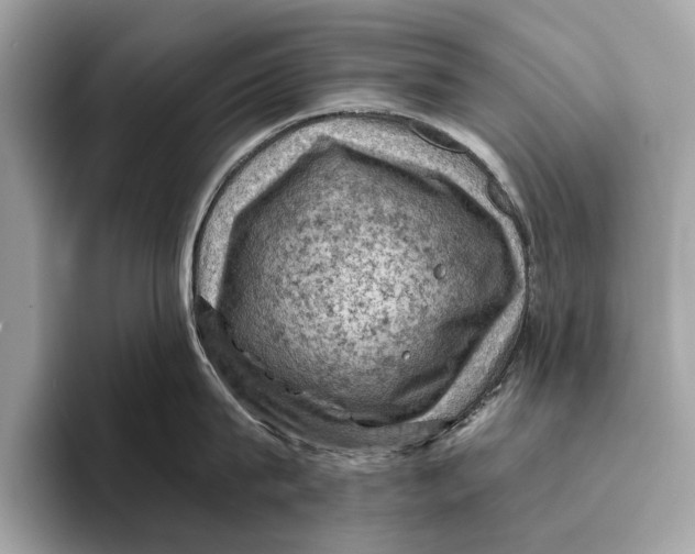 X0000096440815200802141450