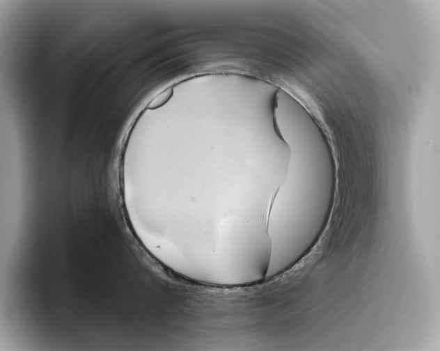 X0000096440816200802141450