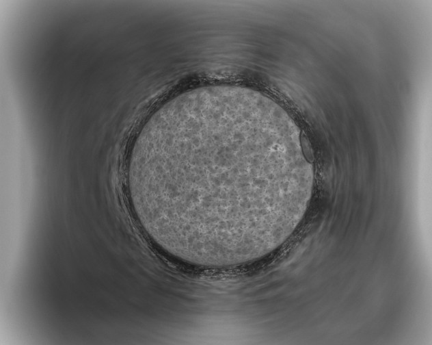 X0000096440817200802141450