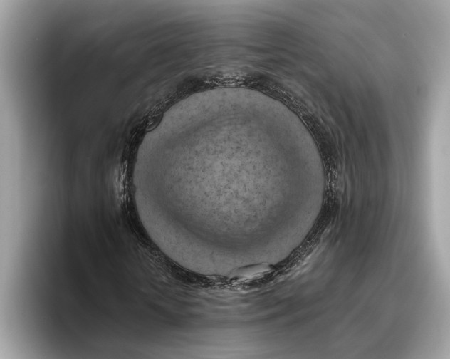 X0000096440818200802141450