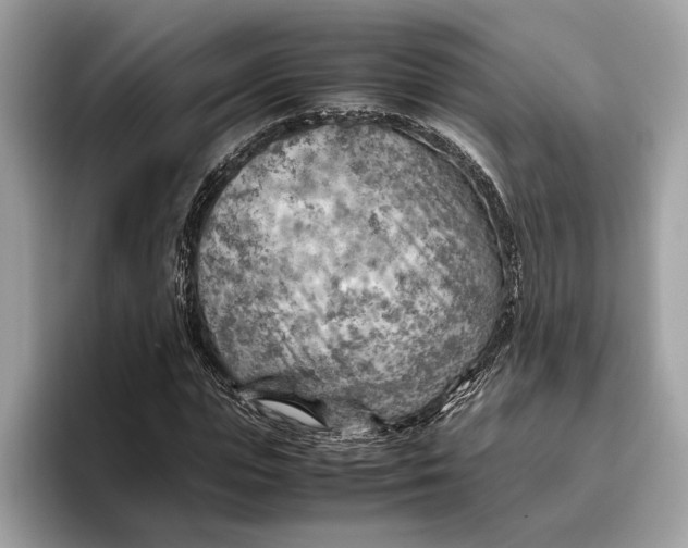 X0000096440823200802141450