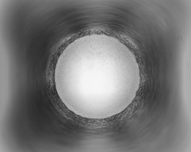 X0000096440824200802141450