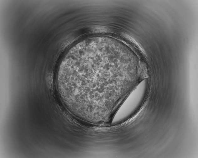 X0000096440825200802141450