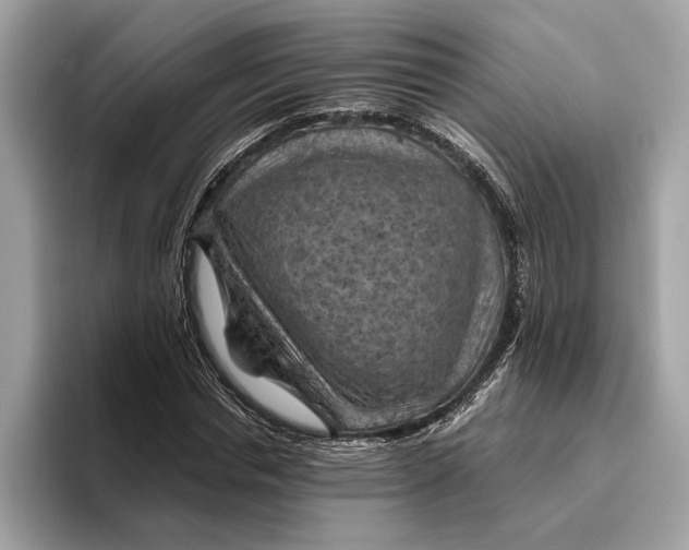 X0000096440826200802141450