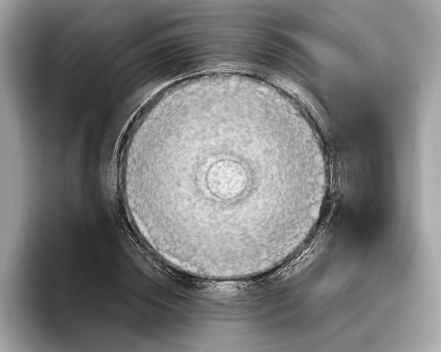 X0000096440828200802141450