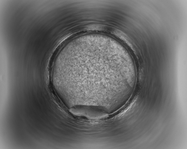 X0000096440829200802141450