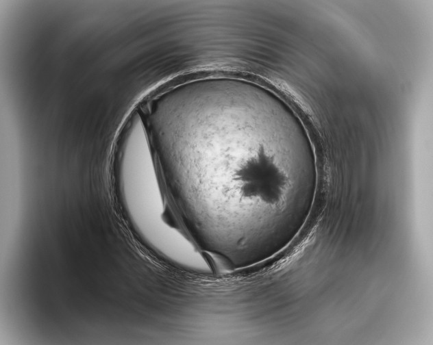 X0000096440830200802141450