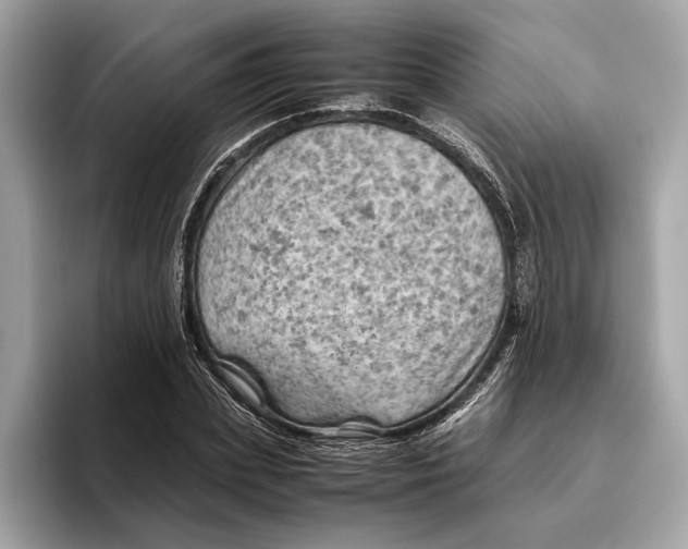 X0000096440831200802141450