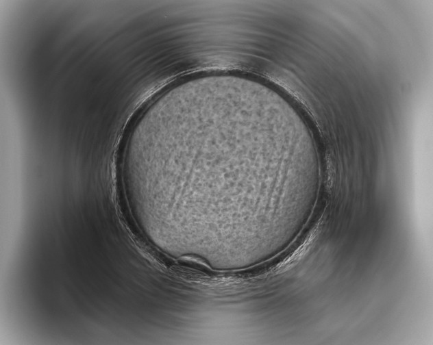 X0000096440834200802141450