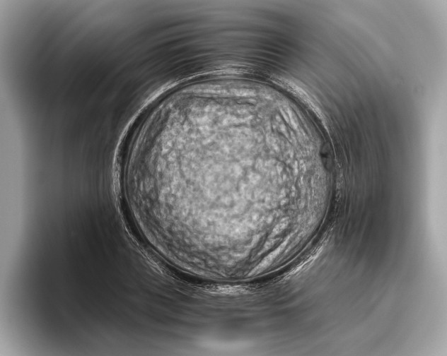 X0000096440835200802141450