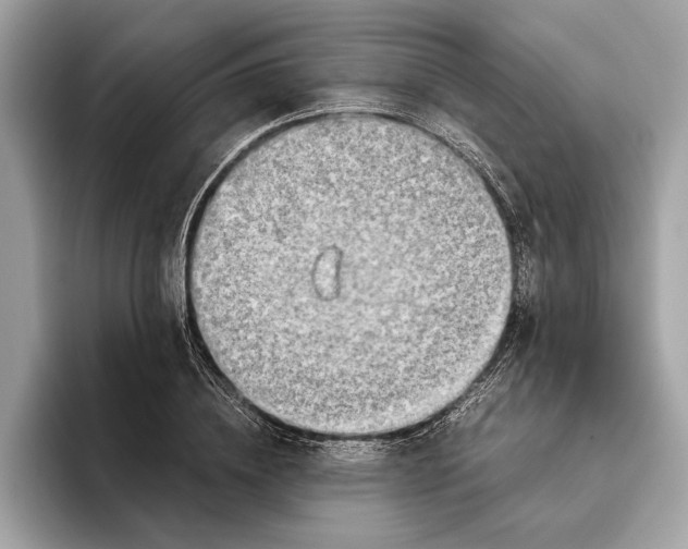 X0000096440836200802141450