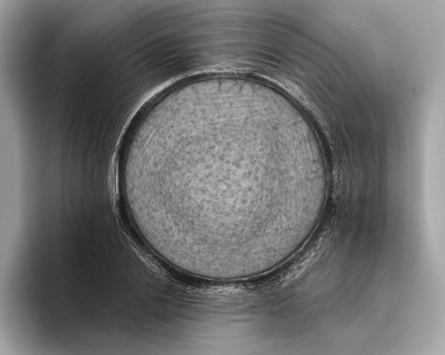 X0000096440838200802141450