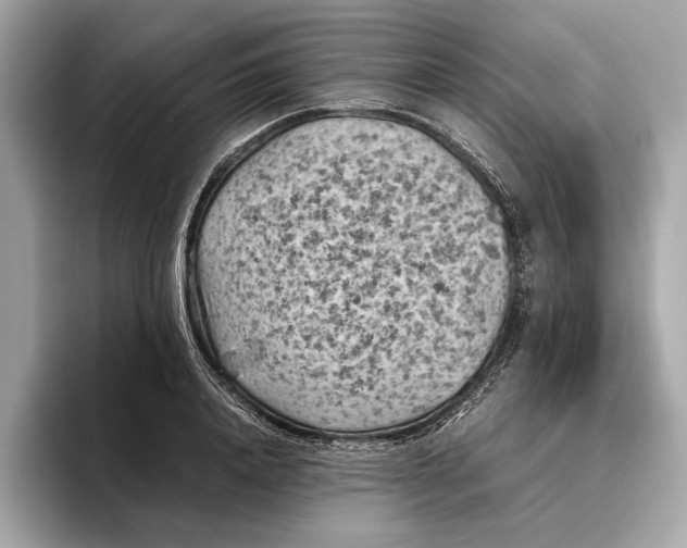 X0000096440840200802141450