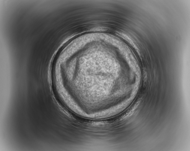 X0000096440843200802141450