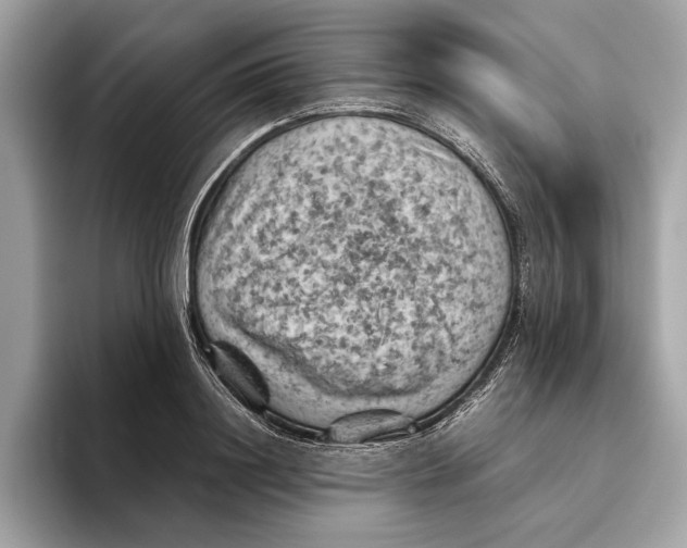 X0000096440844200802141450