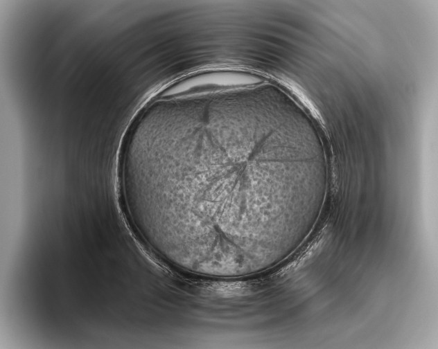 X0000096440845200802141450