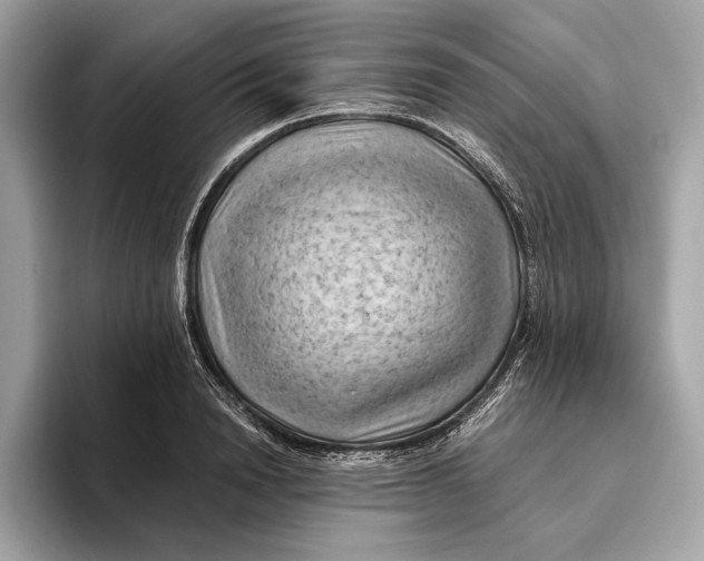 X0000096440846200802141450