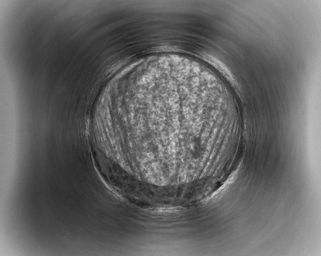 X0000096440849200802141450