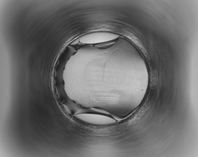 X0000096440850200802141450