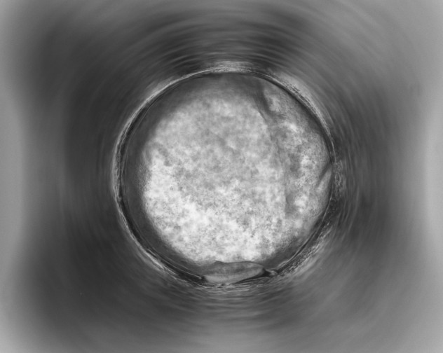 X0000096440851200802141450