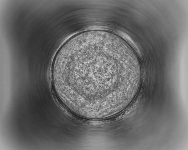 X0000096440852200802141450