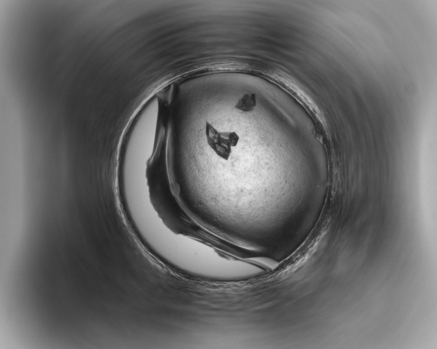 X0000096440853200802141450