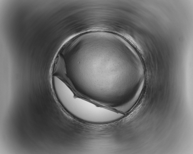 X0000096440854200802141450