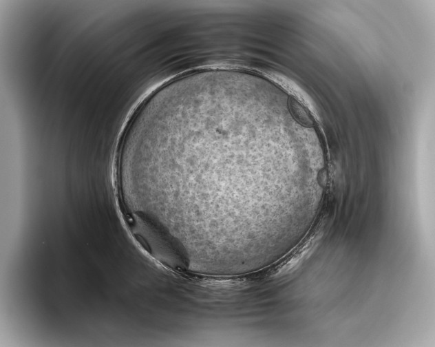 X0000096440855200802141450